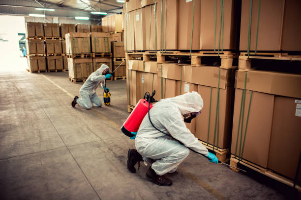Best Pest Prevention Services  in Mexico Beach, FL