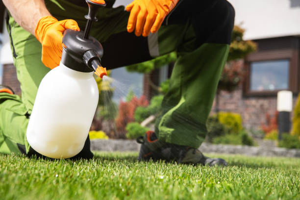 Best Bed Bug Extermination  in Mexico Beach, FL