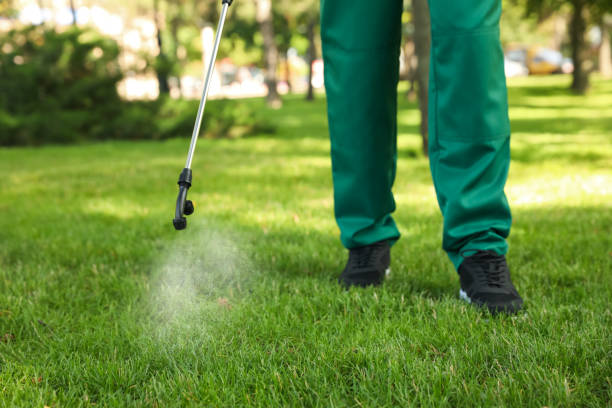 Best Best Pest Control Companies  in Mexico Beach, FL