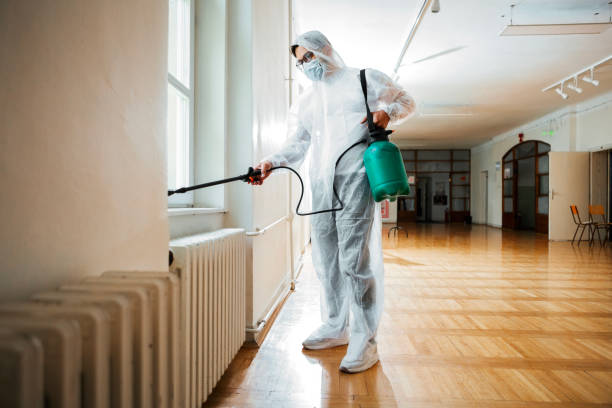 Best Ant Control Services  in Mexico Beach, FL