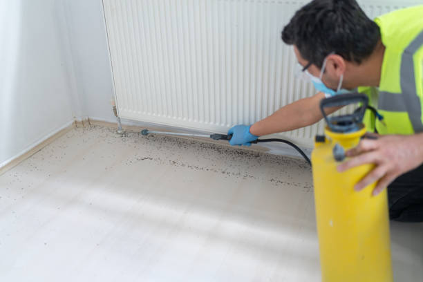 Best Wasp Removal Services  in Mexico Beach, FL